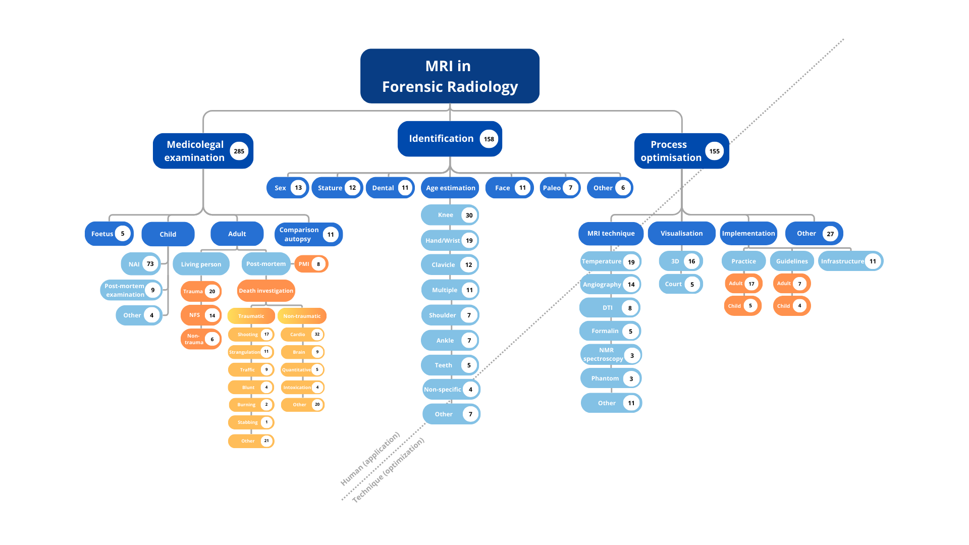 MRI mapping review