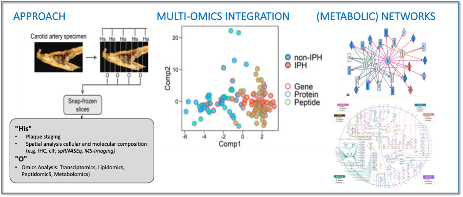 Table 1: AtheroMaas 1 – Basic setup and findings on multiomics integration and network
