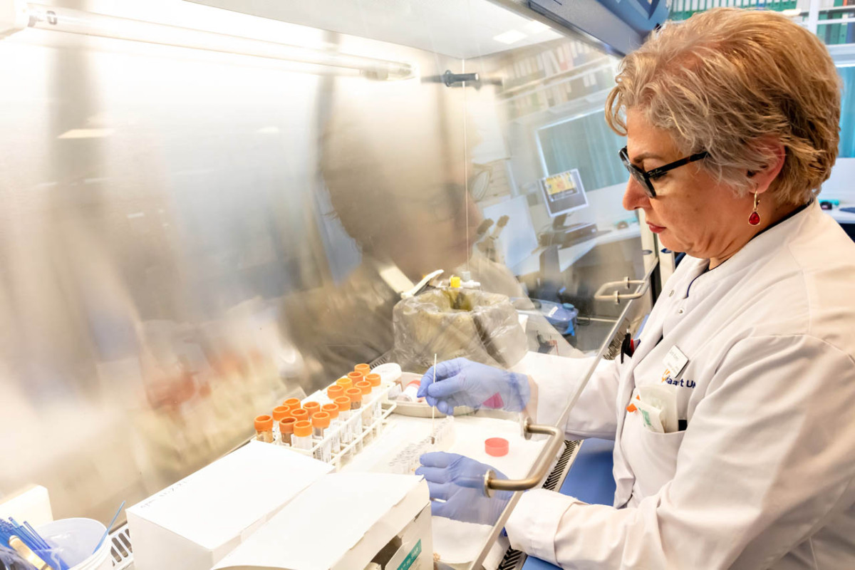 Medische Microbiologie